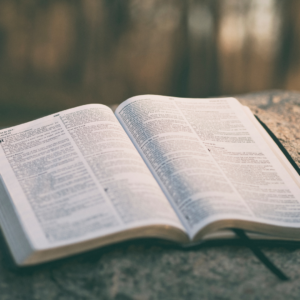 Blog 8 Confiabilidad de la Biblia